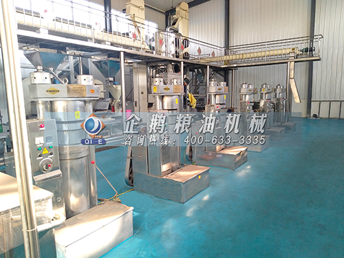 全自動(dòng)榨油機(jī)生產(chǎn)線(xiàn)